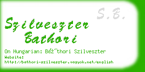 szilveszter bathori business card